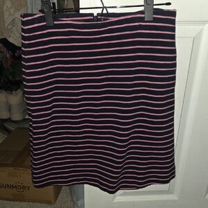 Striped Navy and Pink Skirt